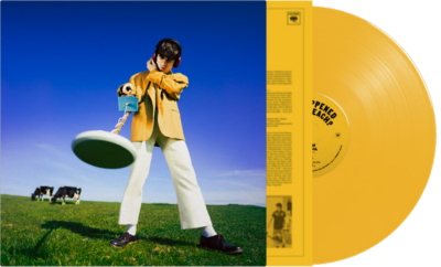 Declan Mckenna What Happened to the Beach? (Yellow Vinyl) [INDIE EX] | Vinyl