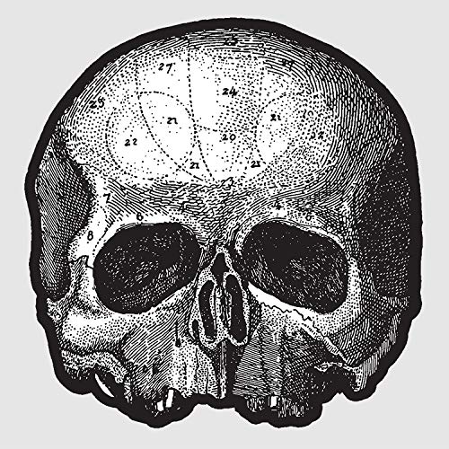 Black Label Society Black Pearl 10” (Die Cut Skull Pic Disc) | Vinyl