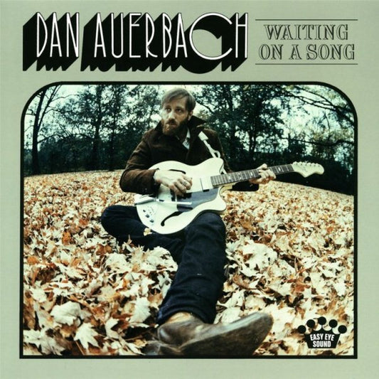 Dan Auerbach WAITING ON A SONG | Vinyl