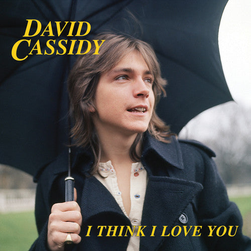 David Cassidy I Think I Love You (Limited Edition, Blue, Pink) (7" Single) | Vinyl
