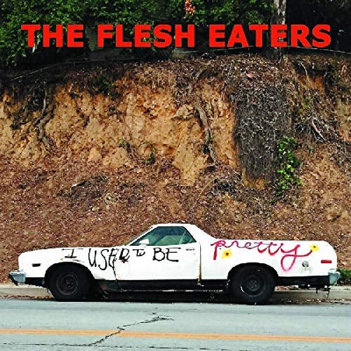 Flesh Eaters I Used To Be Pretty | Vinyl