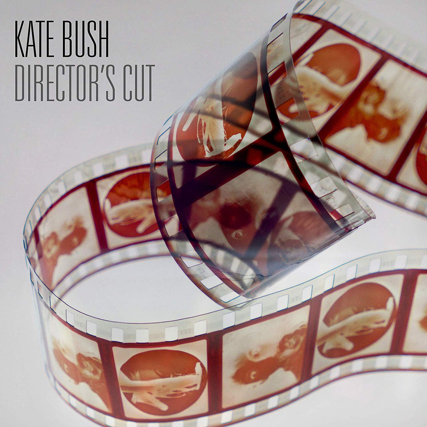 Kate Bush Director's Cut (2018 Remaster) | Vinyl