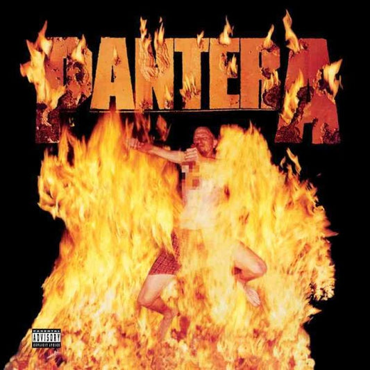 Pantera Reinventing the Steel (180 Gram Vinyl) | Vinyl