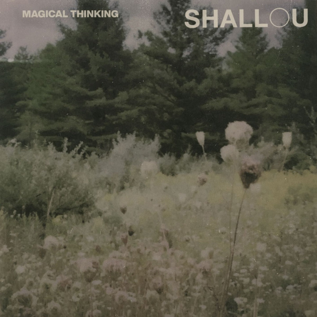 Shallou Magical Thinking [LP] | Vinyl