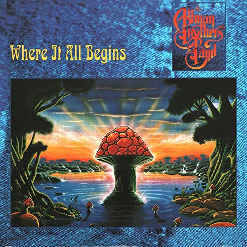 The Allman Brothers Band Where It All Begins | Vinyl