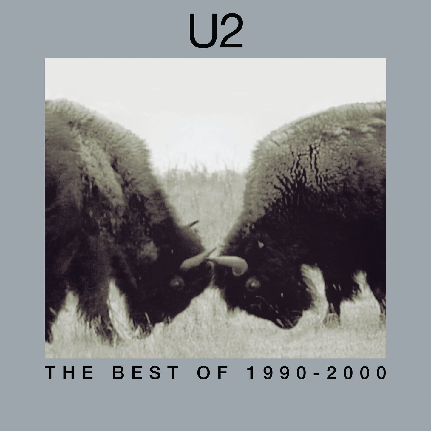 U2 The Best Of 1990-2000 (180 Gram Vinyl) (2 Lp's) | Vinyl